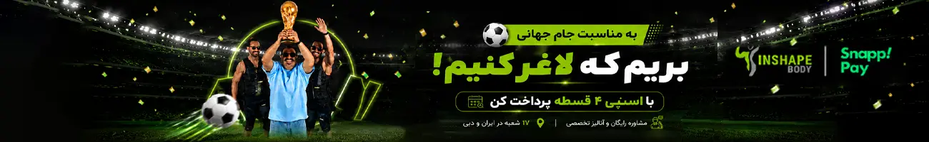 اینشیپ بادی