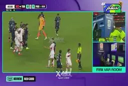 قانون وینیسیوس وارد جام‌جهانی شد

