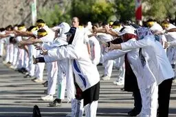 مبانی و منطق سبک زندگی و مداخله در بیماری‌های قلبی-عروقی (CVD)