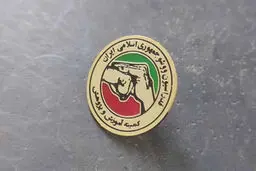 کیفرخواست خواهران منصوریان صادر شد