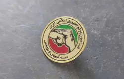 کیفرخواست خواهران منصوریان صادر شد