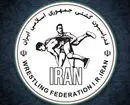 پاداش 5 میلیاردی و حقوق 100 میلیونی در انتظار طلایی‌های قهرمانی جهان