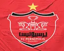 عضو جدید هیات مدیره پرسپولیس مشخص شد

