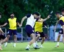  یوزها ۲۵ اردیبهشت به ترکیه می‎‌روند