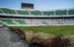 می‌خواهند چمن ویروسی آزادی را به ورزشگاه‌های دیگر ببرند!