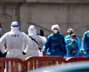 میهمان ناخوانده در آمریکا؛ جام ویروسی شد! 