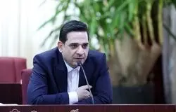 رئیس فدراسیون والیبال: ژاپن را اذیت کردیم