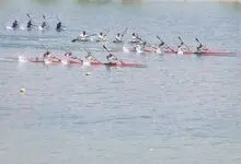 قهرمانان آب‌های آرام، دراگون‌بوت و کانوپولو مشخص شدند