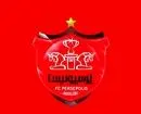سرپرستان تیم‌های پایه پرسپولیس معرفی شدند