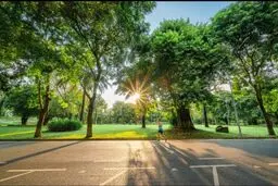سه عادت ساده برای حفظ سلامت مغز و کاهش خطر افسردگی