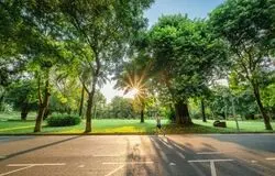 سه عادت ساده برای حفظ سلامت مغز و کاهش خطر افسردگی