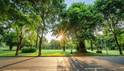 سه عادت ساده برای حفظ سلامت مغز و کاهش خطر افسردگی