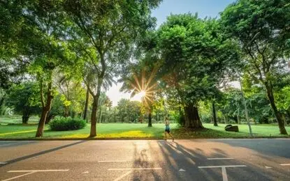سه عادت ساده برای حفظ سلامت مغز و کاهش خطر افسردگی