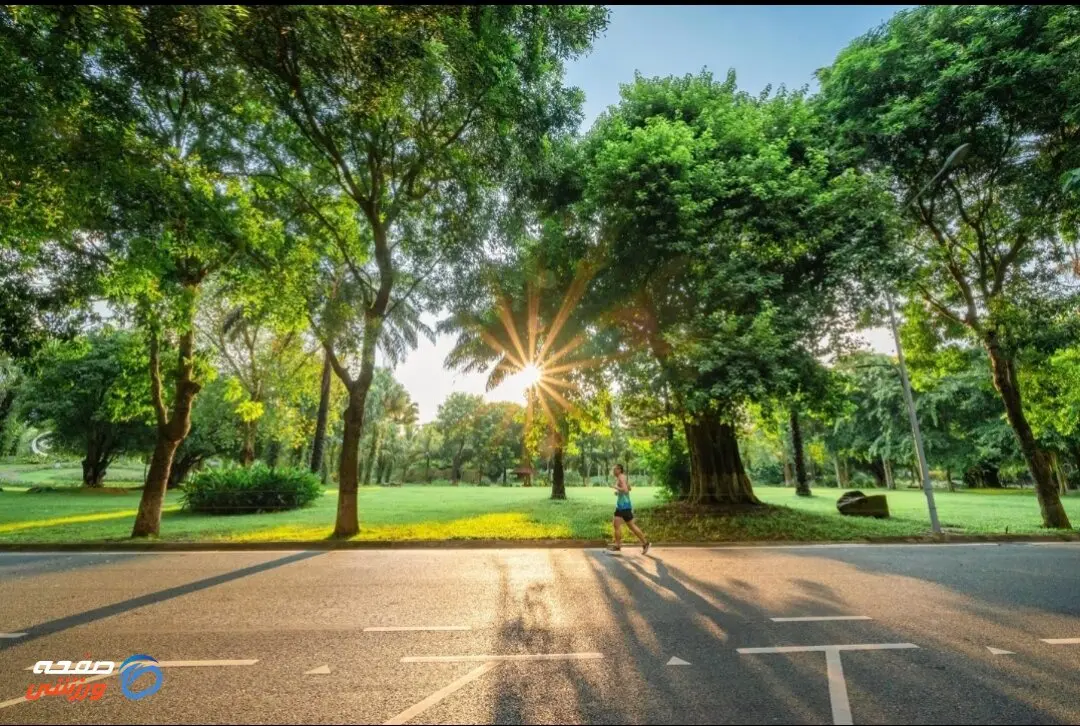 سه عادت ساده برای حفظ سلامت مغز و کاهش خطر افسردگی