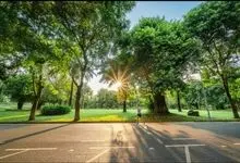 سه عادت ساده برای حفظ سلامت مغز و کاهش خطر افسردگی