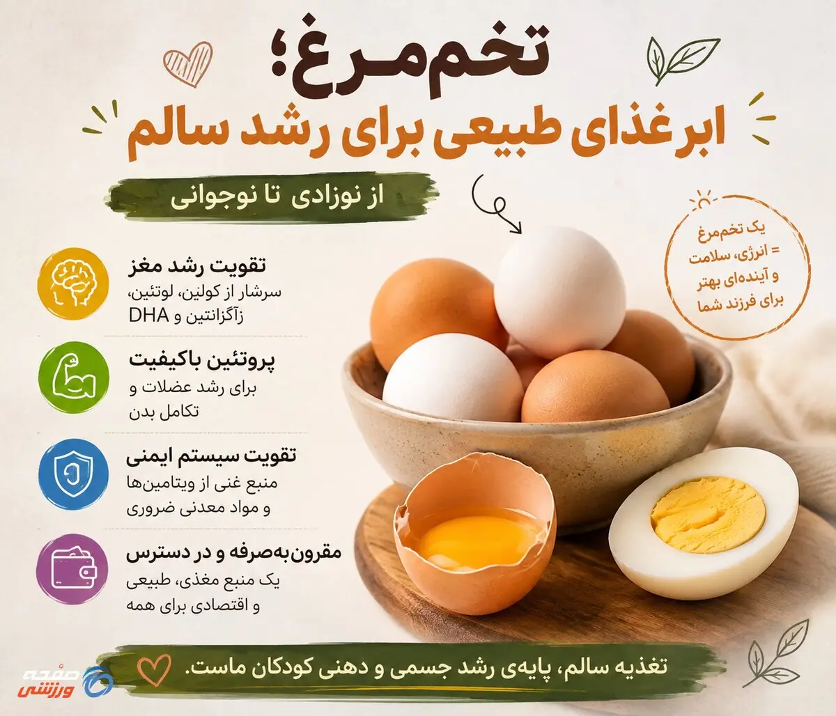 بررسی ارزش غذایی تخم‌مرغ