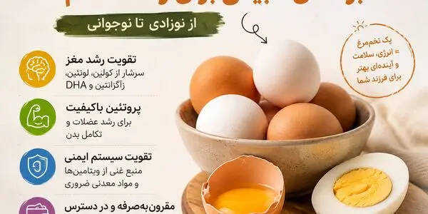 بررسی ارزش غذایی تخم‌مرغ