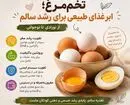 بررسی ارزش غذایی تخم‌مرغ