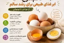 بررسی ارزش غذایی تخم‌مرغ
