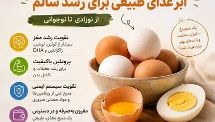 بررسی ارزش غذایی تخم‌مرغ