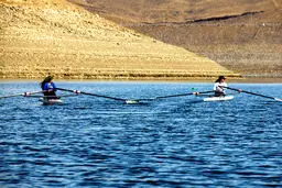  به مربی خارجی فکر نمی‌کنیم!