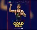 مهدی یوسفی هم طلایی شد