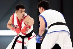 MMA از فدراسیون ورزش‌های رزمی جدا شد