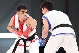 MMA از فدراسیون ورزش‌های رزمی جدا شد